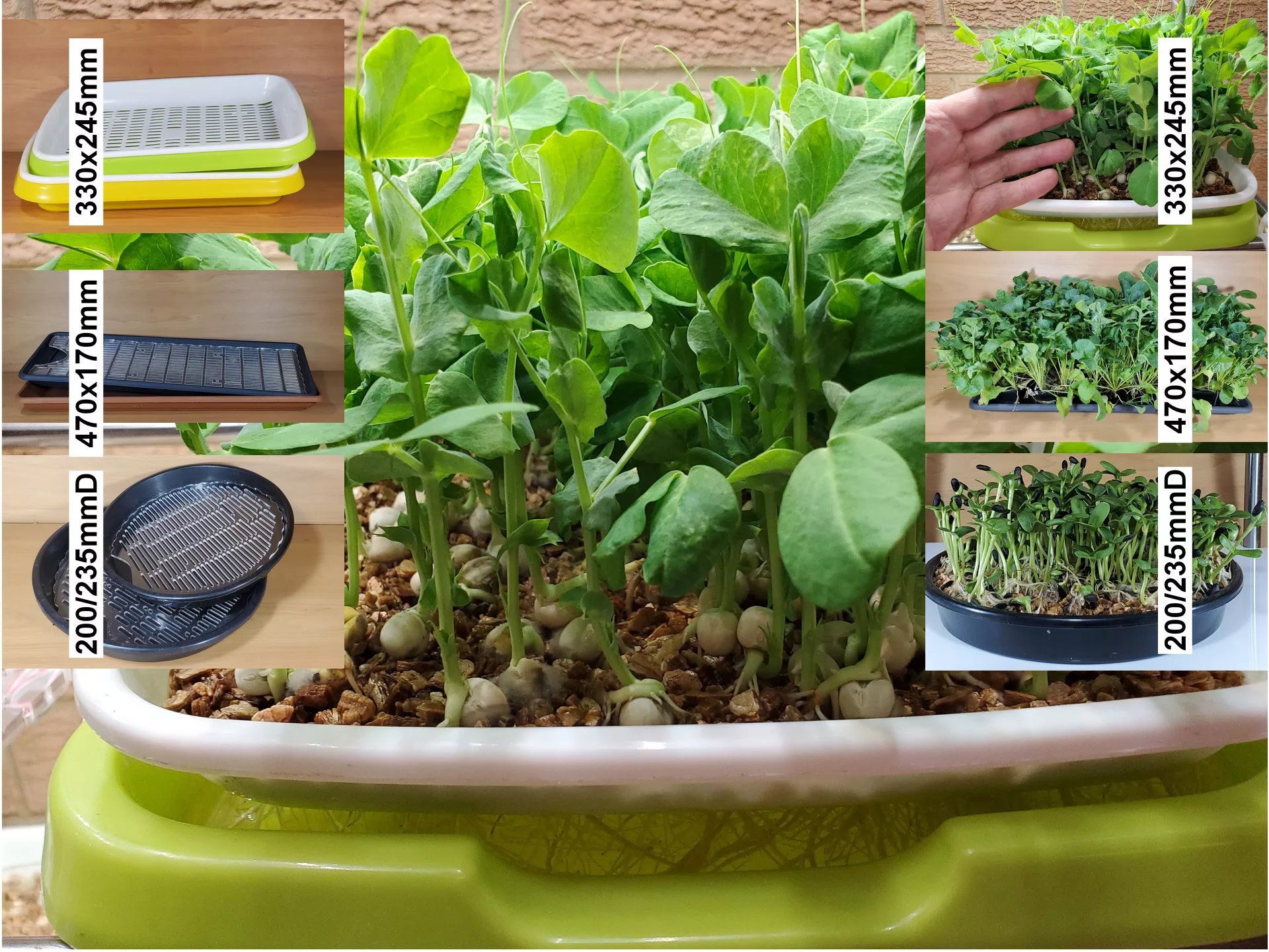 Microgreen/Herb  Kits